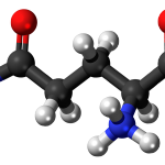 Does L-Glutamine Heal A Leaky Gut?