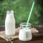 Why Probiotics Are Energizing