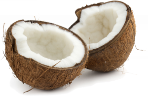 Coconut